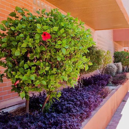 Apartamento Teatinos, Metro, Free Parking & Pool Appartement Málaga